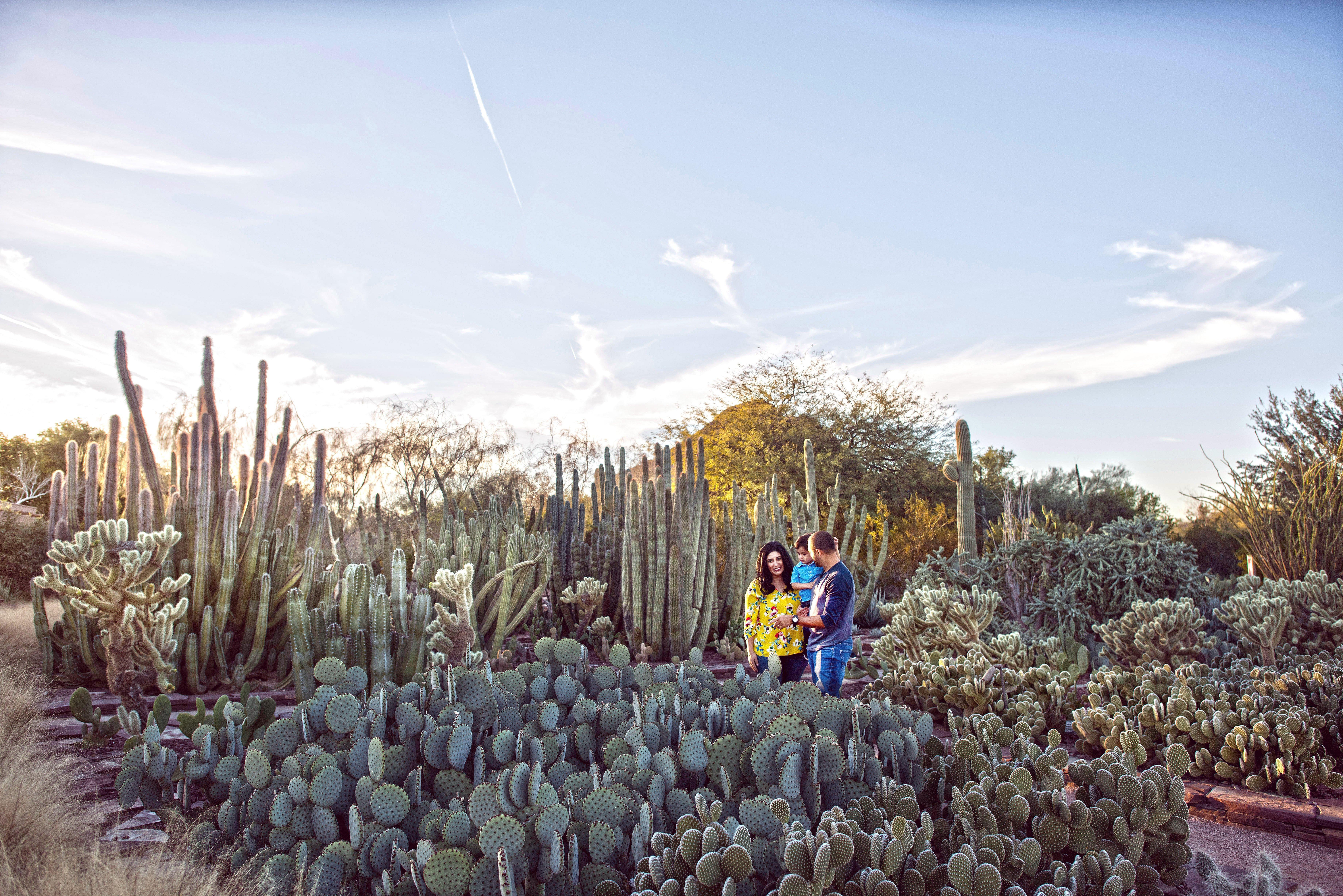 Holiday Inn Express & Suites - Phoenix - Airport North By Ihg Dış mekan fotoğraf