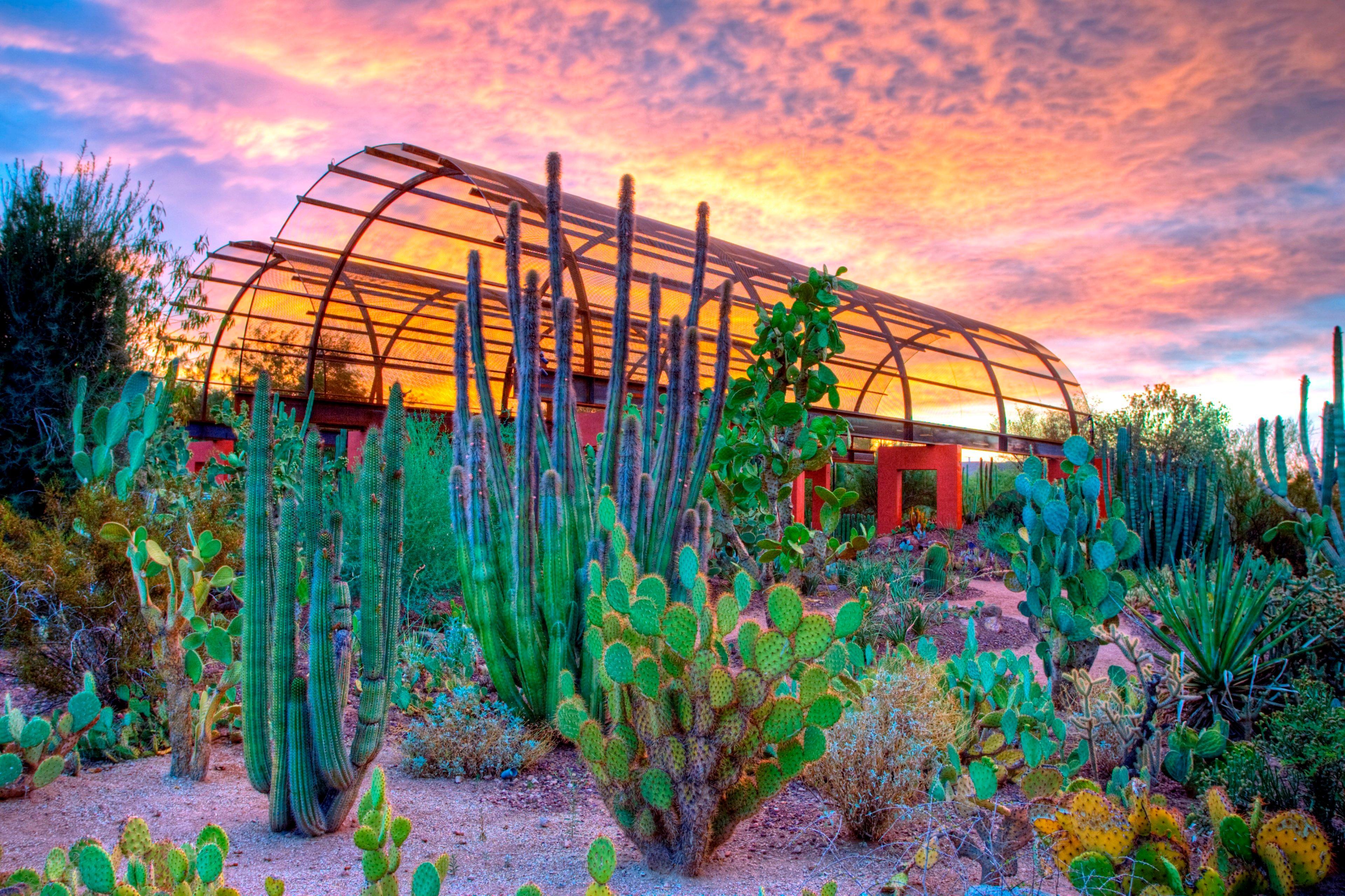 Holiday Inn Express & Suites - Phoenix - Airport North By Ihg Dış mekan fotoğraf